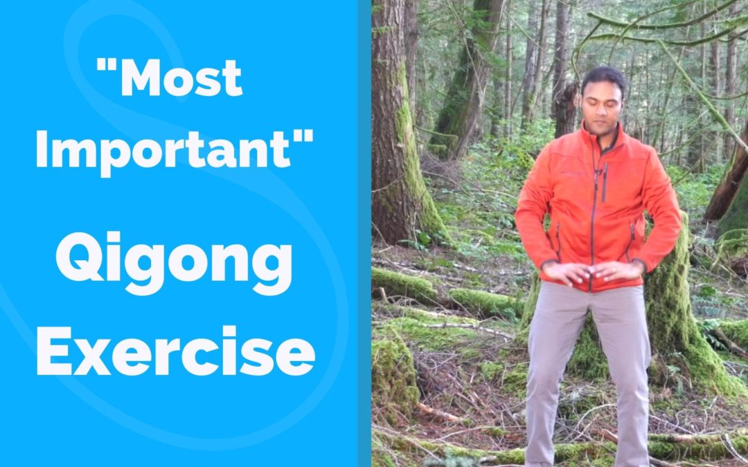 “Most Important” Qigong Exercise for Beginners