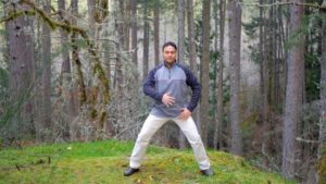 Qigong for vitality, gathering the qi practice