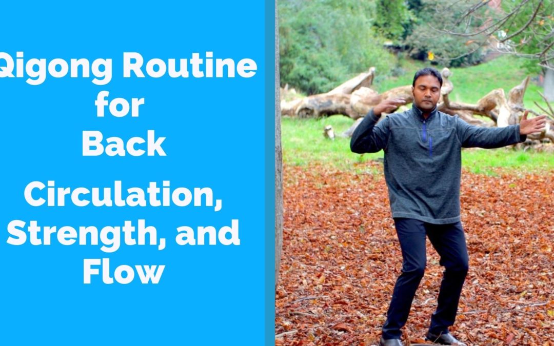 Qigong for Back Strength and Circulation