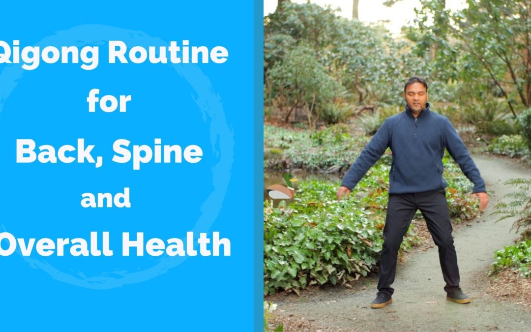 Qigong for Back Pain, Healthy Spine – Spinal Twisting