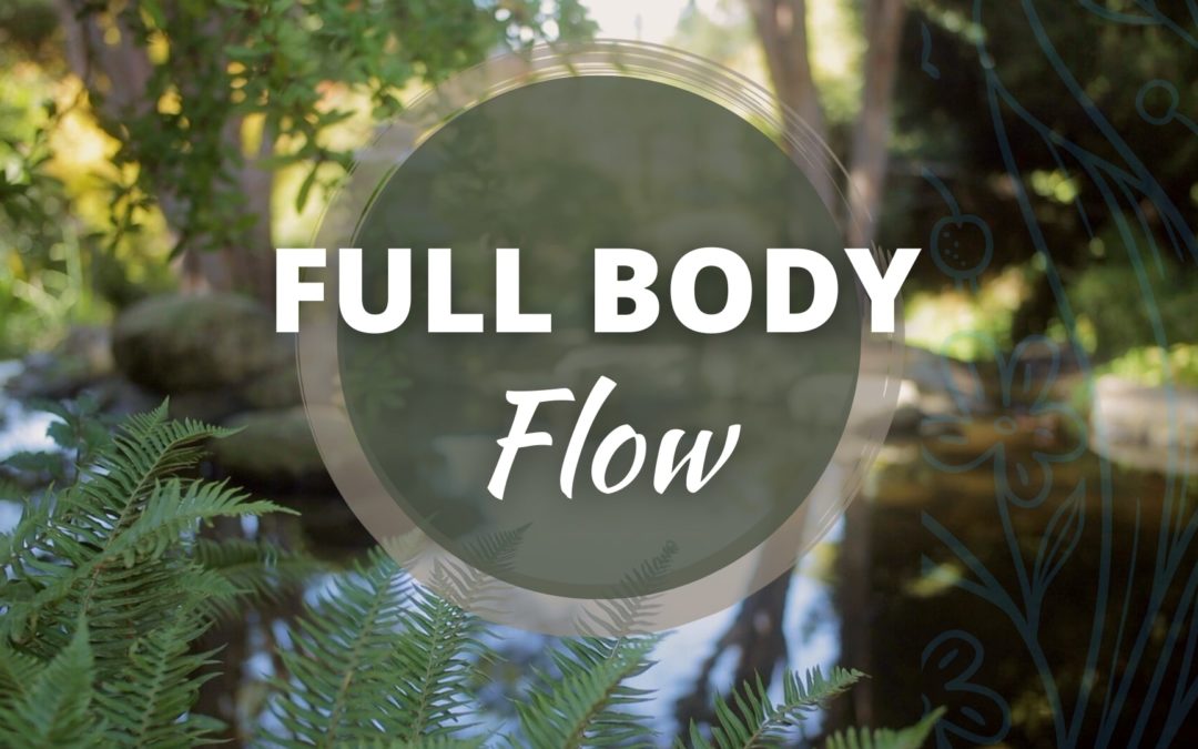 Full Body Flow Qigong Program