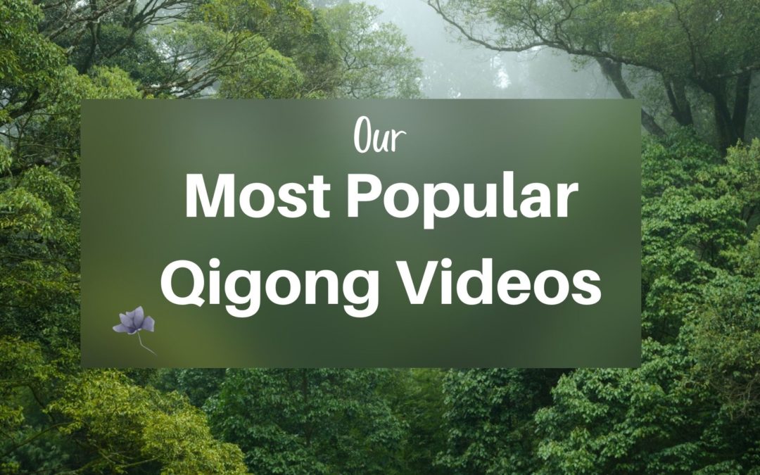 Our Most Popular Qigong Videos