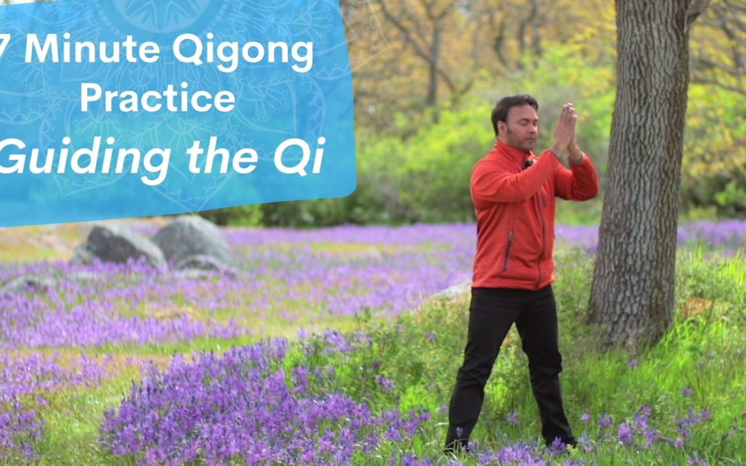 7 Minute Qigong Practice for Guiding the Qi and Feeling Flow
